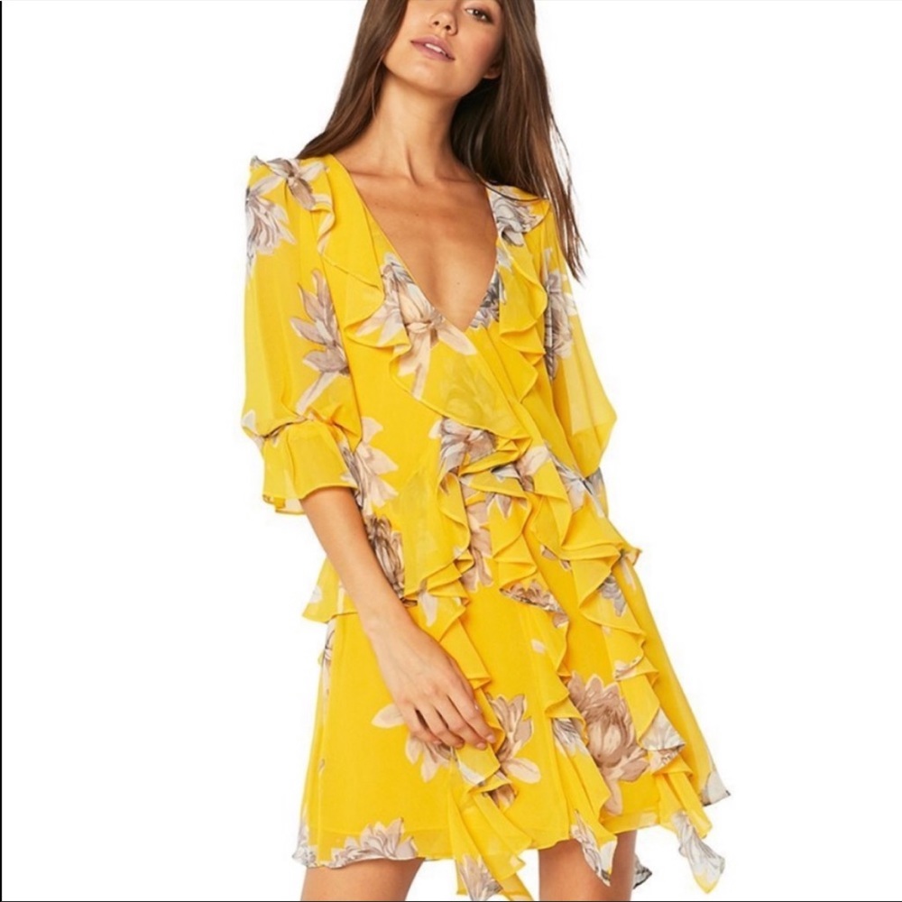 MISA Evele Floral Printed Ruffle Mini Dress